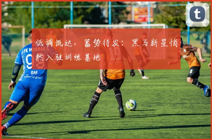 低调抵达，蓄势待发：黑马新星悄然入驻训练基地