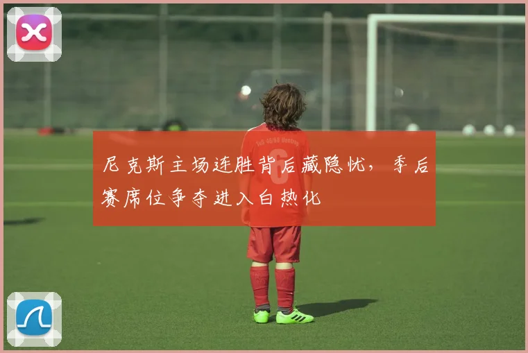 尼克斯主场连胜背后藏隐忧，季后赛席位争夺进入白热化