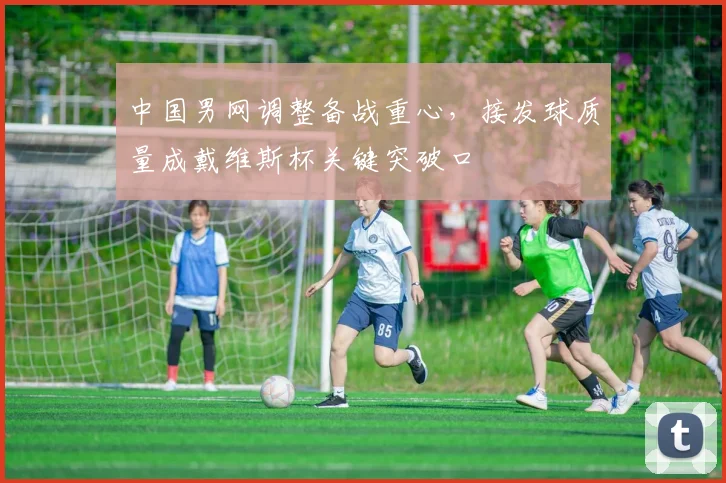 中国男网调整备战重心，接发球质量成戴维斯杯关键突破口