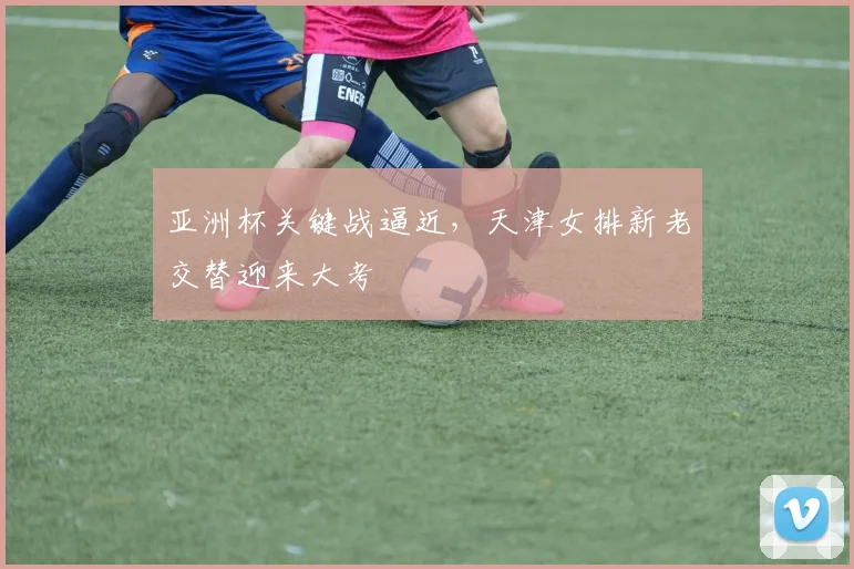 亚洲杯关键战逼近，天津女排新老交替迎来大考