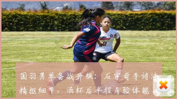 国羽男单备战升级：石宇奇李诗沣精抠细节，汤杯后半程考验体能