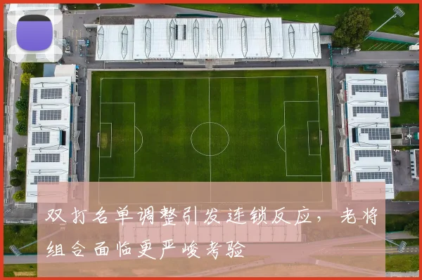 双打名单调整引发连锁反应，老将组合面临更严峻考验